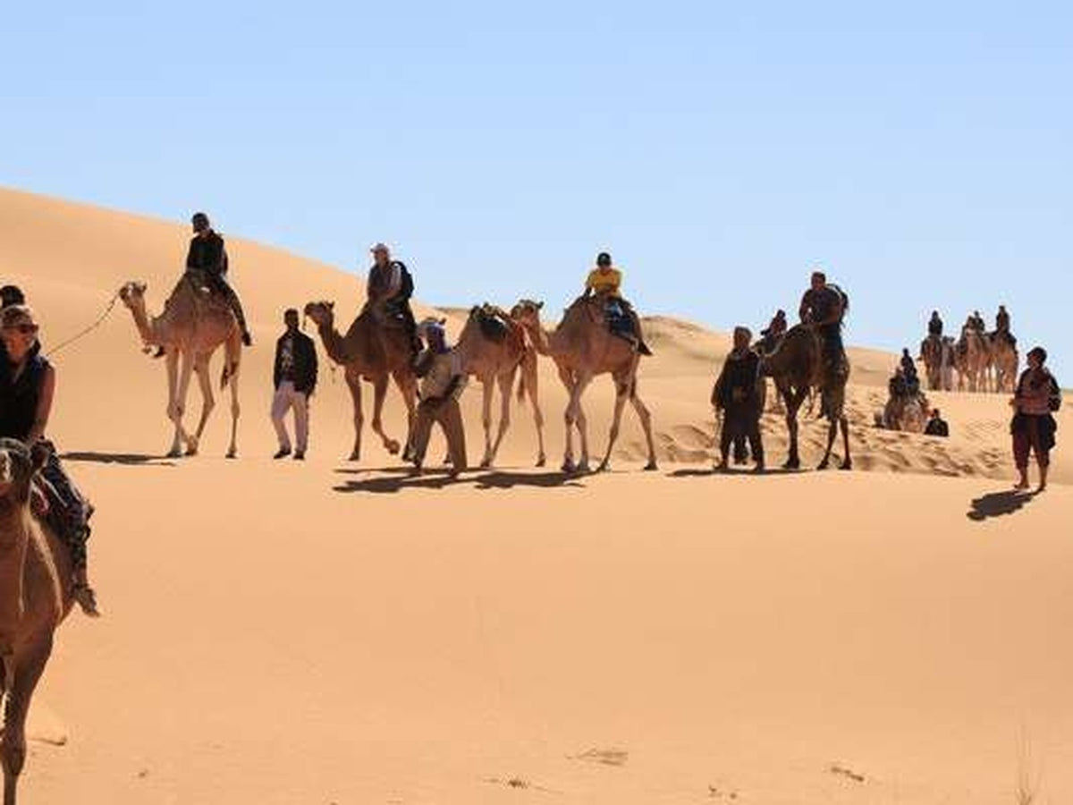 Ghardaïa – Goléa – Timimoun – Béni Abbès – Taghit — Circuit de la Route des Ksour's, 9 Jours